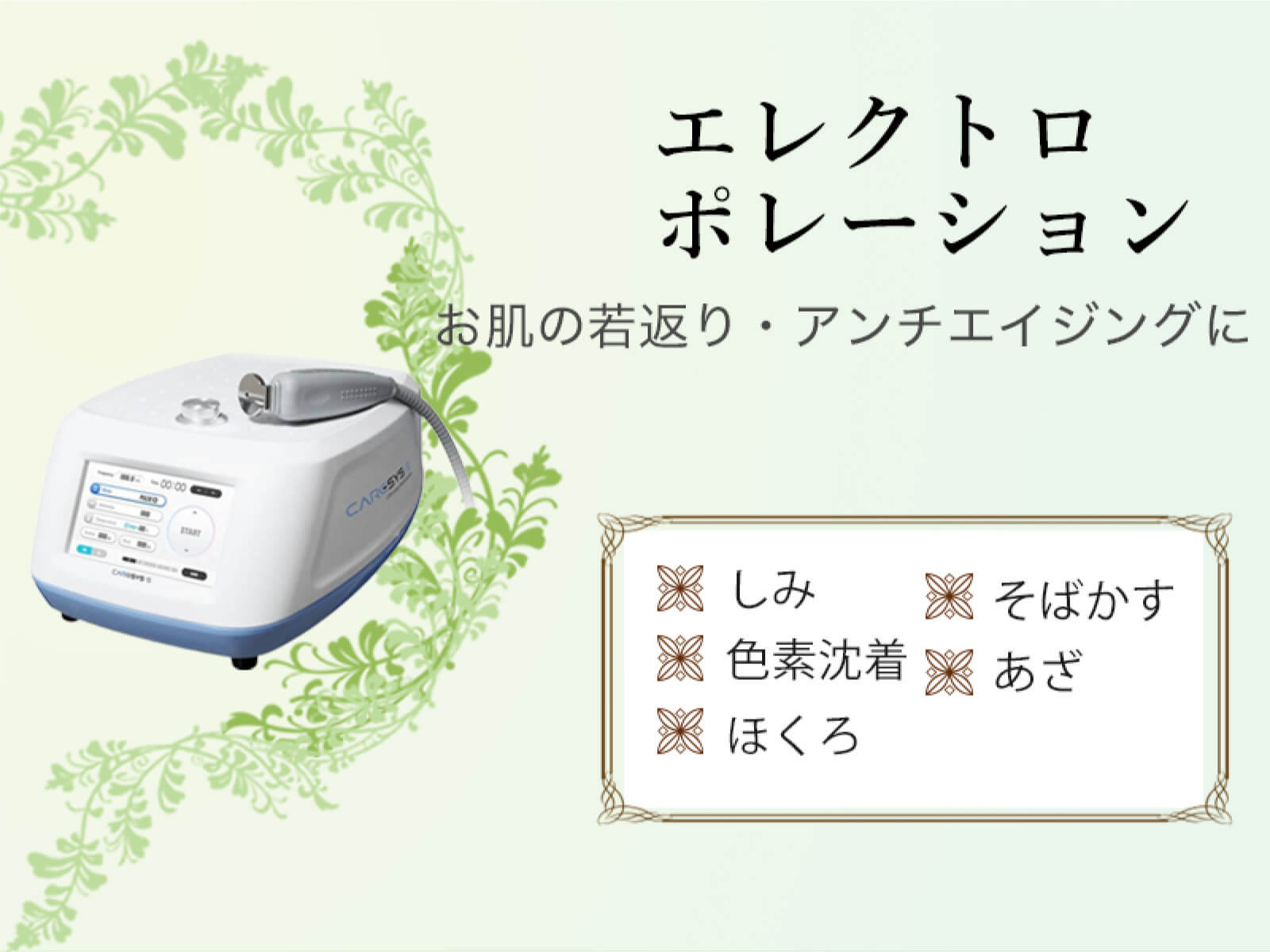 エレクトロポレーション